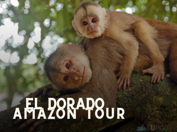 Moto Destination Ecuador: Your Ultimate Adventure Awaits!