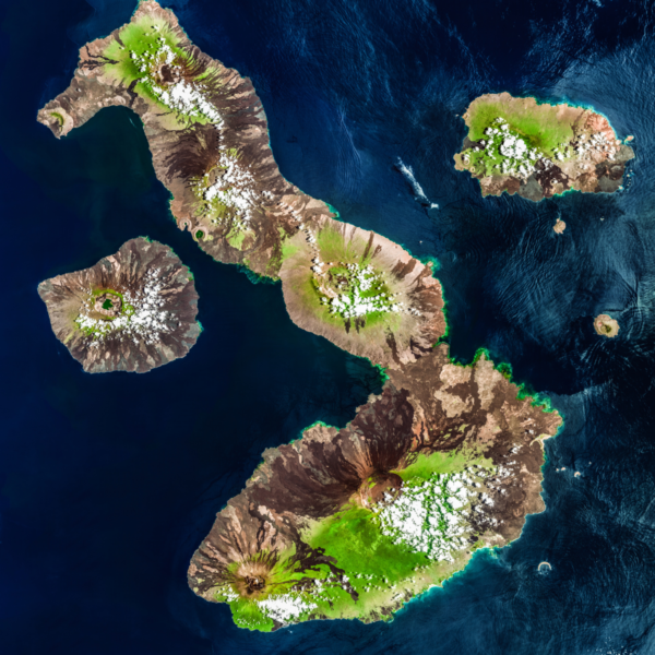 Galapagos hidden gem