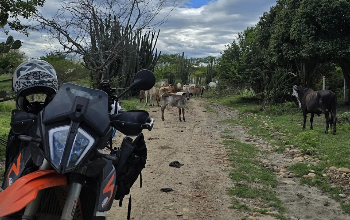 Ecuador & Colombia Expedition Guided Tour - Day 7 gallery 3