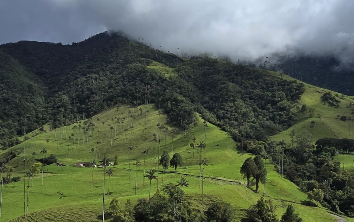 Ecuador & Colombia Expedition Guided Tour - Day 4 gallery 3