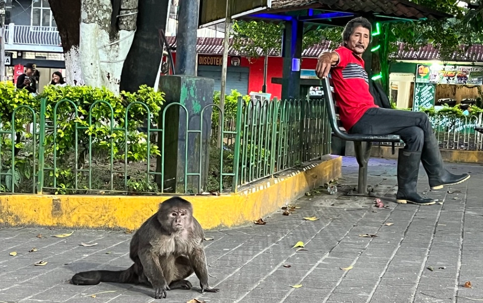 Take Over Ecuador – Guided Tour - Day 10 additional gallery images