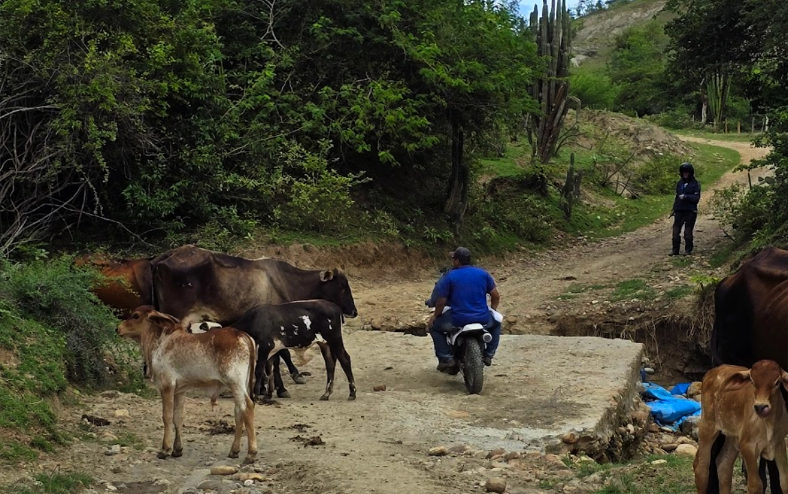 Ecuador & Colombia Expedition Guided Tour - Day 8 gallery 2