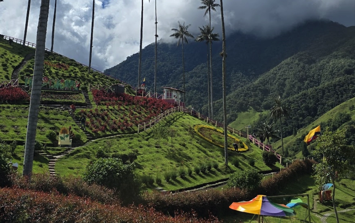 Ecuador & Colombia Expedition Guided Tour - Day 5 - Cali – Ibague