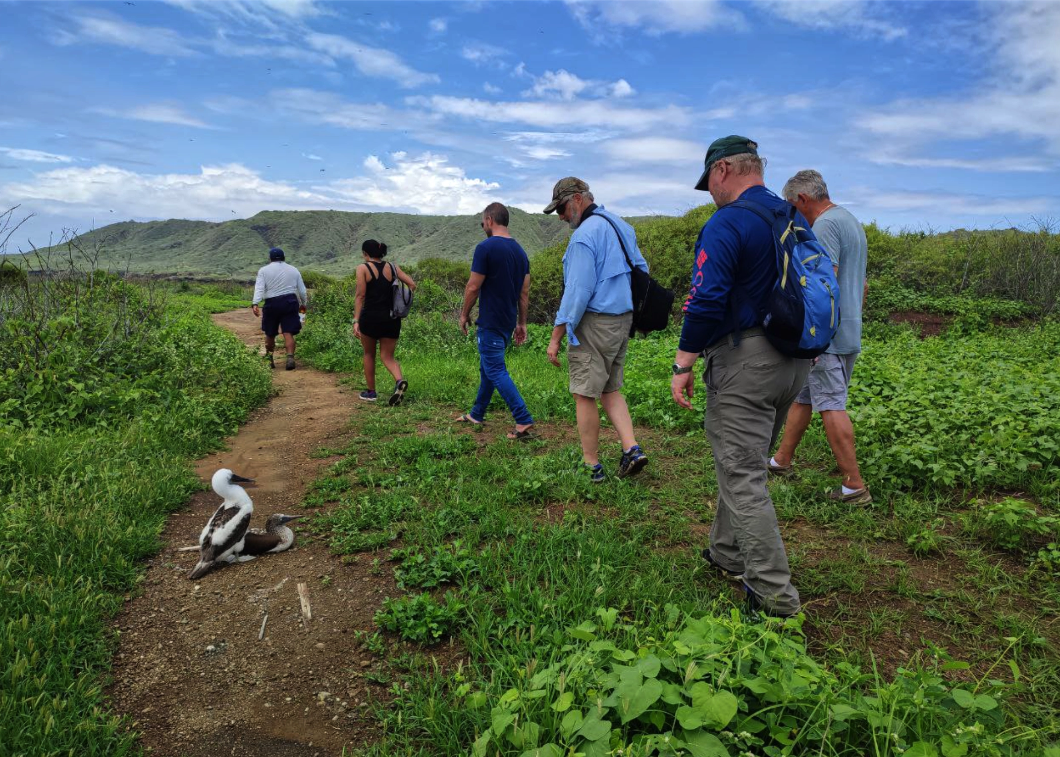 Spondylus – Guided Tour - Day 4 gallery 2