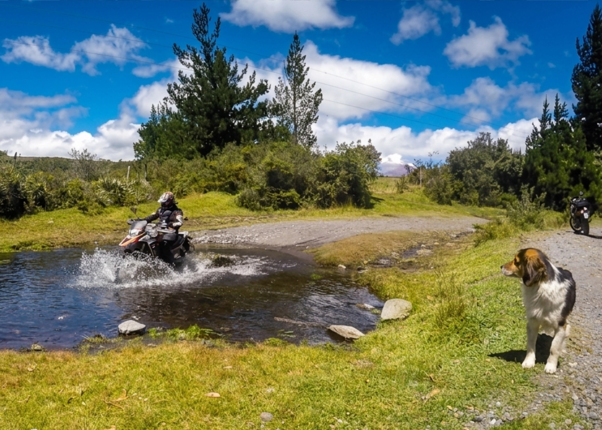Take Over Ecuador – Guided Tour - Day 1 gallery 3