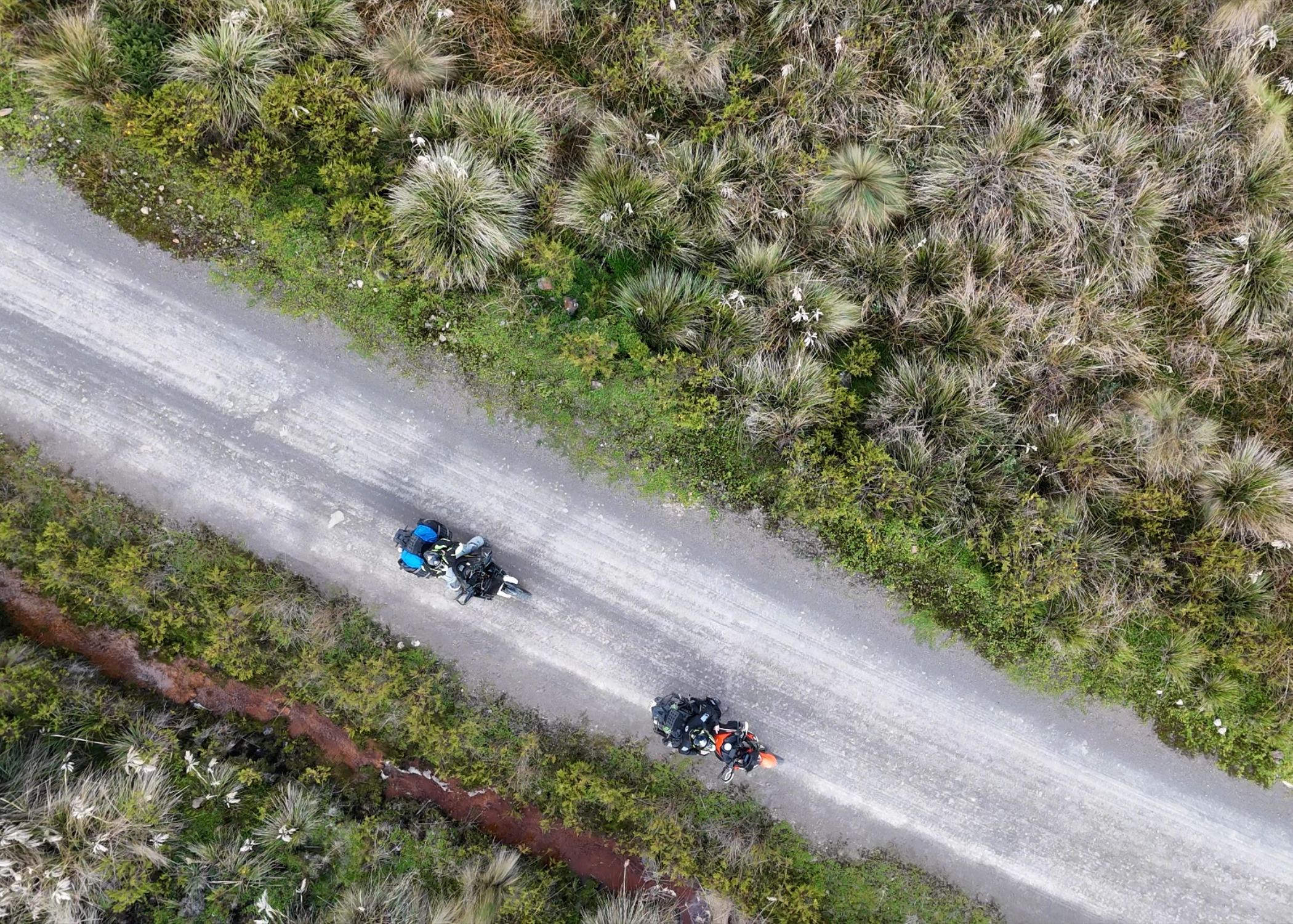 Take Over Ecuador – Guided Tour - Day 12 gallery 2
