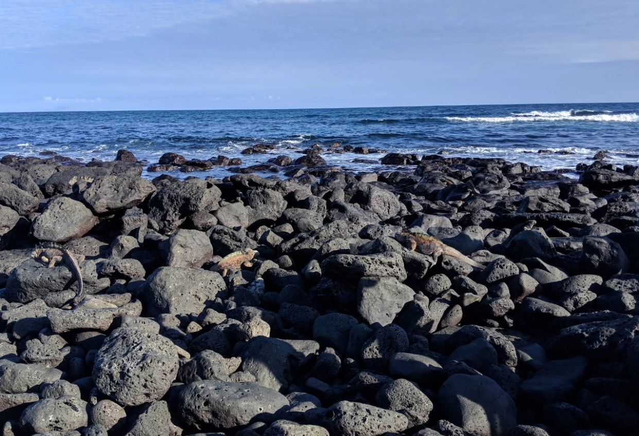 GALAPAGOS MULTI-SPORT - Day 3 gallery 2