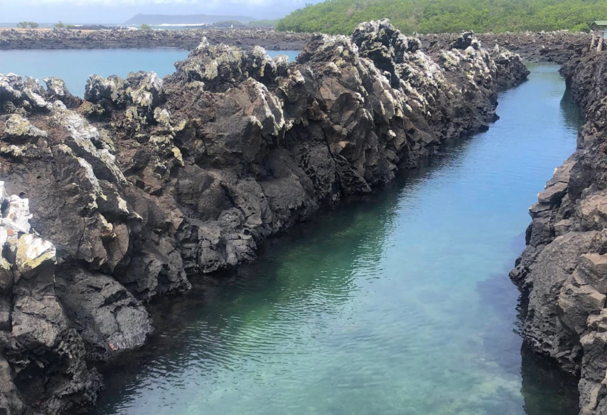 GALAPAGOS MULTI-SPORT - Day 3 additional gallery images