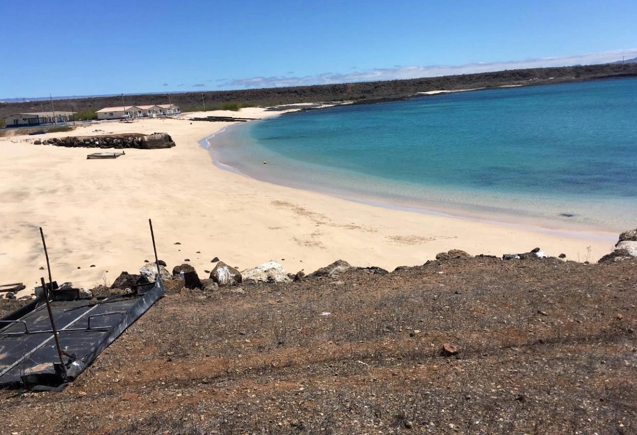 GALAPAGOS MULTI-SPORT - Day 1 gallery 3