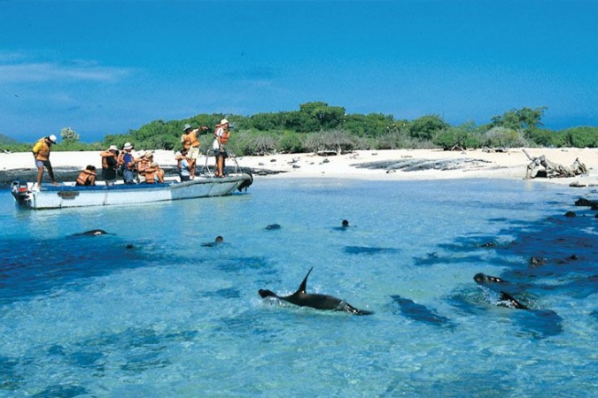 GALAPAGOS MULTI-SPORT - Day 1 gallery 2