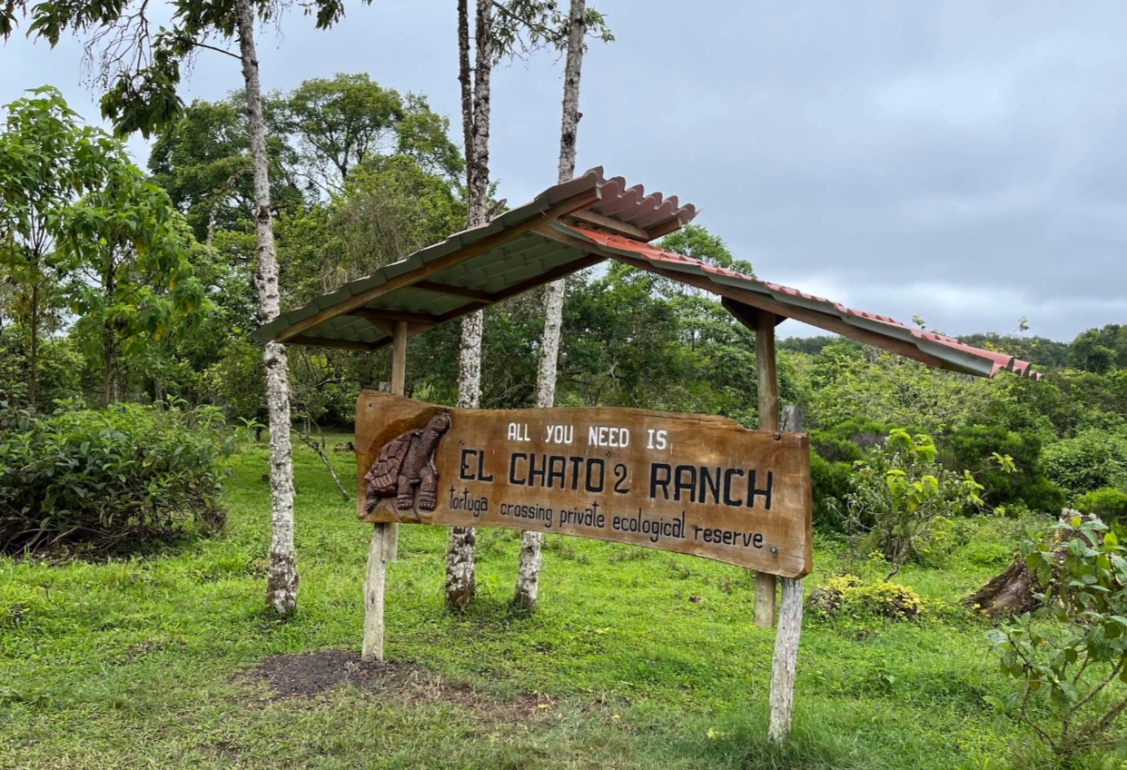 GALAPAGOS MULTI-SPORT - Day 2 - El Chato (Horseback Riding) / Garrapatero Beach (B, L)